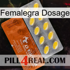 Femalegra Dosage 42